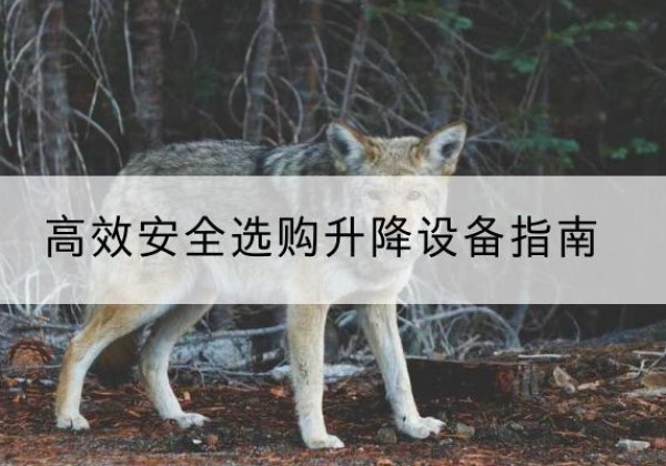 错那升降货梯厂家推荐-*安全选购升降设备指南