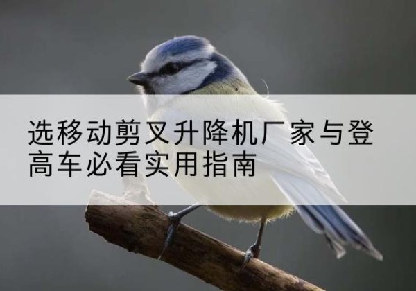 错那电动升降机厂家-选移动剪叉升降机厂家与登高车必看实用指南