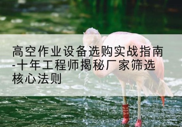 错那剪叉式升降机厂家-高空作业设备选购实战指南-十年工程师揭秘厂家筛选核心法则